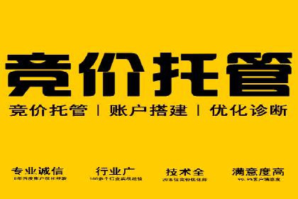 SEM竞价优化实战技巧：案例展示广告投放优化